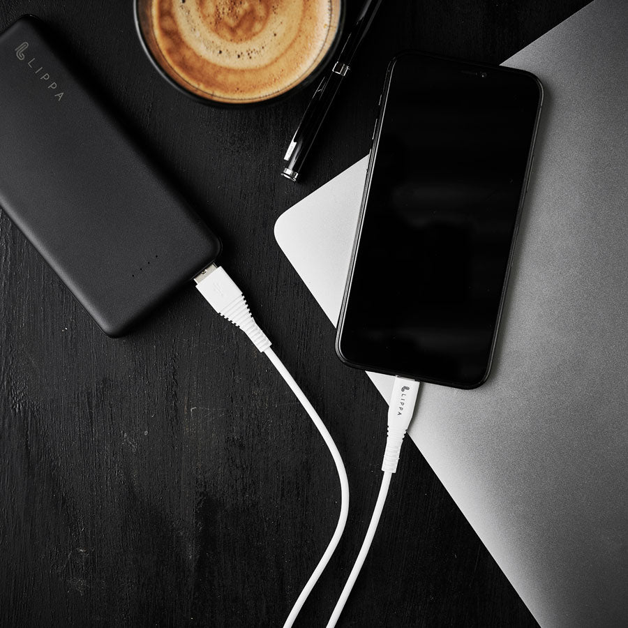 10,000 mAh power bank and 1 m iPhone USB-A to MFi Lightning cable