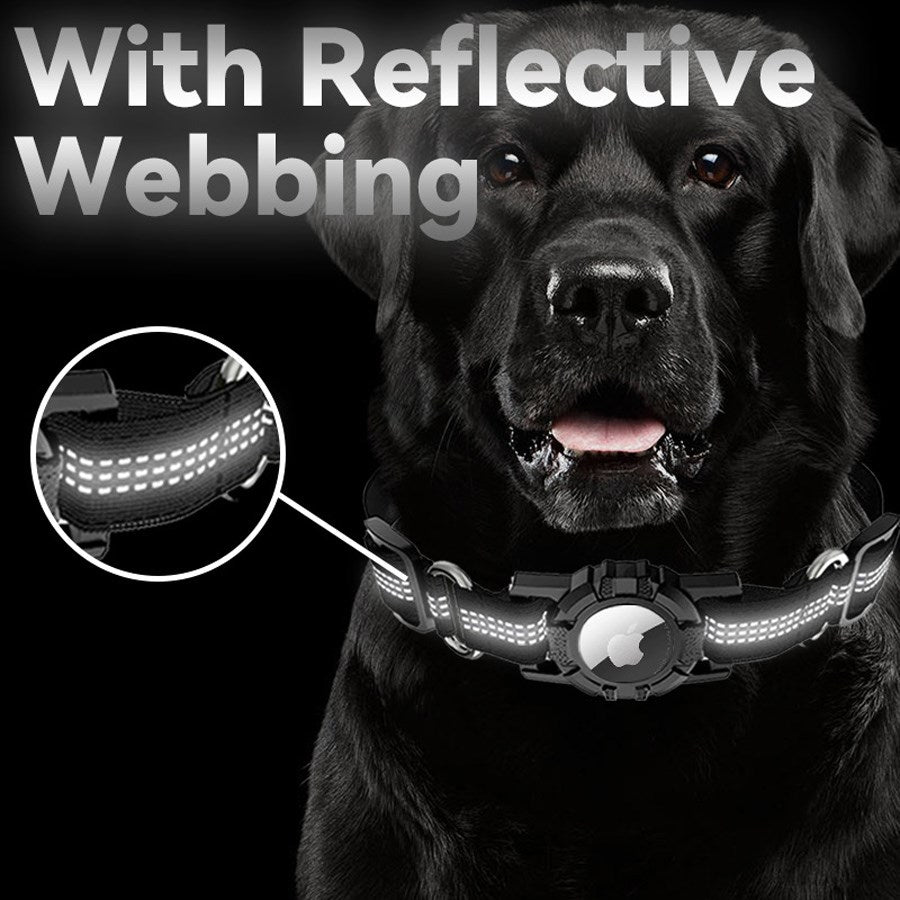 LPCOVER0029 Lippa Collar For Dogs, Size S 28 34 Cm, Black 6