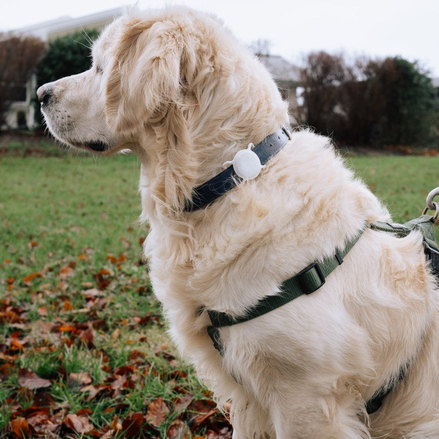 LPCOVER0047 Lippa Collar Holder For Airtag And Smart Finder, Purple 2