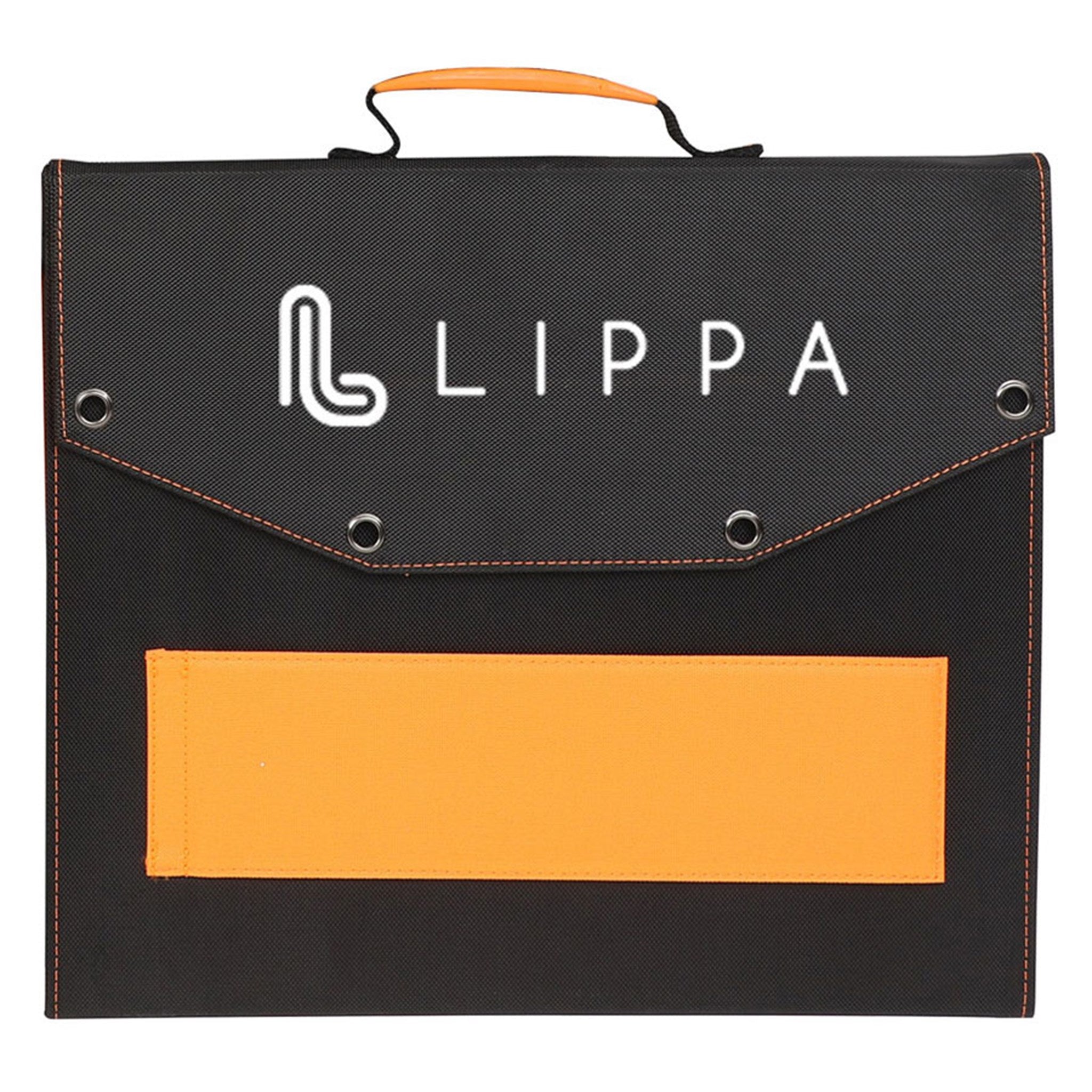 LPSP100 Lippa Solar Panel 100W Black 2